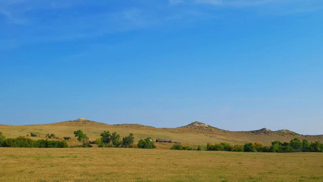 ranch scene-image for western gift ideas blog